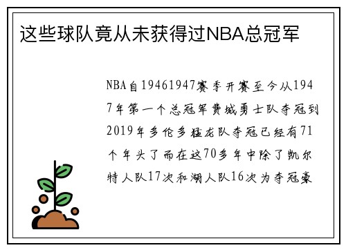 这些球队竟从未获得过NBA总冠军